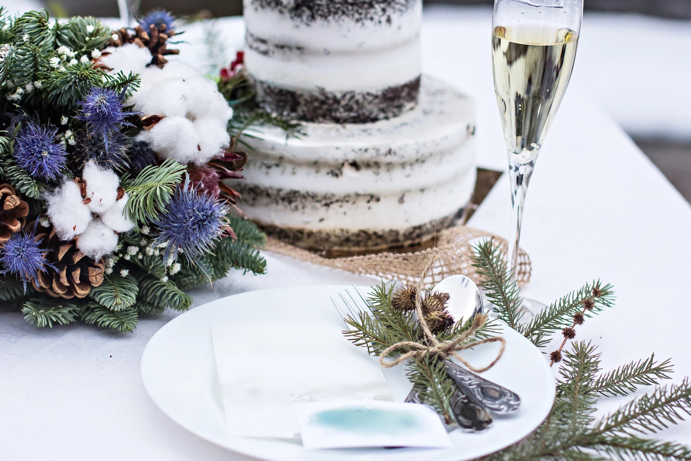 Décoration hivernale pour un mariage avec des pins qui accrochent les couvert